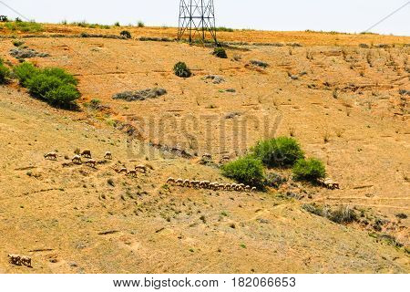 Yellow Mountains And Beautiful Panoramic View