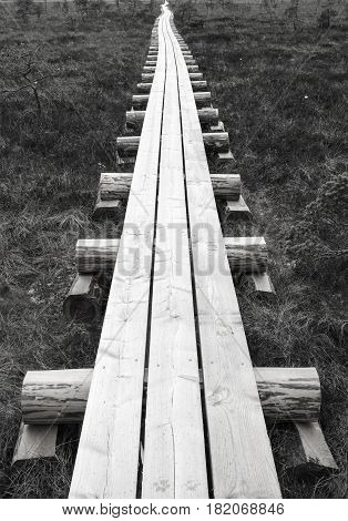 Wooden hiking trail in national park black and white