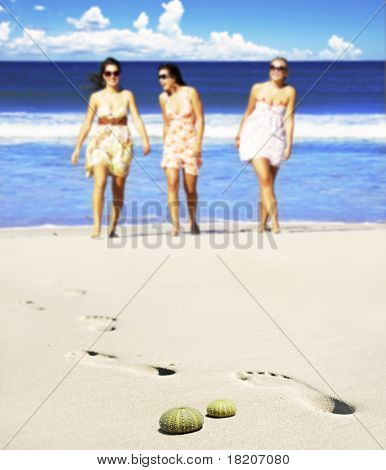 Riccio di mare conchiglie sulla spiaggia con tre giovani donne sullo sfondo