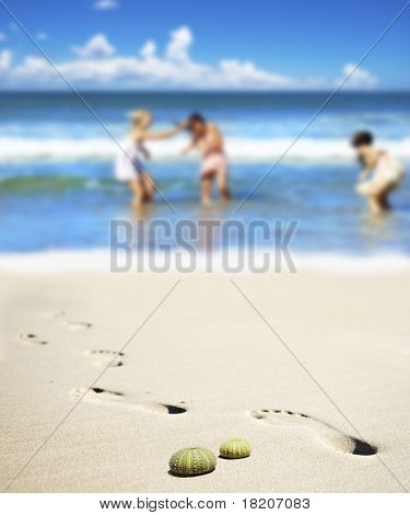 Riccio di mare conchiglie sulla spiaggia con tre giovani donne sullo sfondo