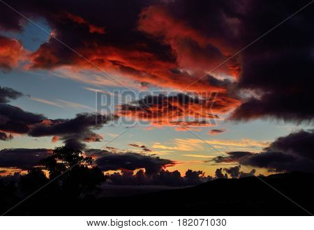 Awesome sunrise with colorful clouds and backlit tree in foreground