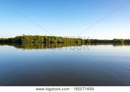 Rio Lagartos Mangrove Landscape