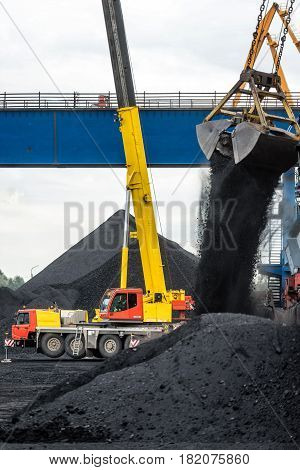 Maritime transportation industry. Work in port coal transshipment terminal.