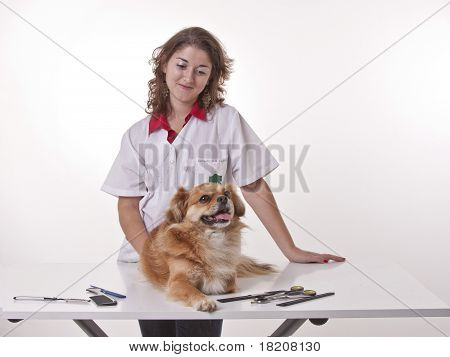 Mädchen eine Maniküre zu machen ist Hund.