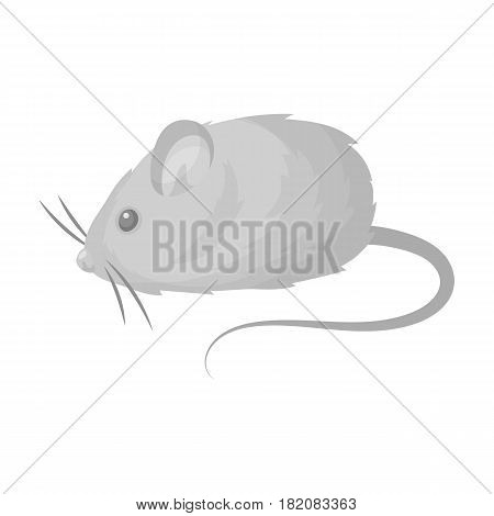 Mouse toy.Pet shop single icon in black style vector symbol stock illustration .
