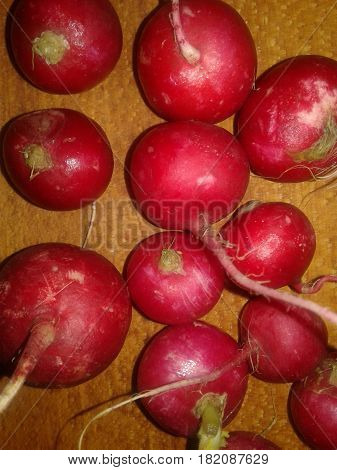 Radish  the most precocious and early spring vegetables with bright color and slightly burning taste that give mustard oil