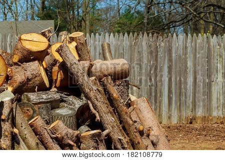 Lumberjack worker with chainsaw cutting log of wood tree trimming