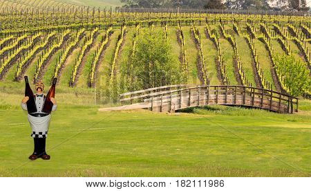 Vineyard with Bridge and little Wine man holder