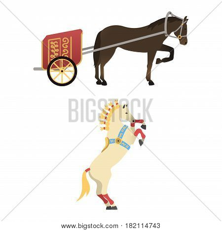 Set of horse pony stallion isolated different breeds color farm equestrian animal characters vector illustration. Collection mammal silhouette domestic animal cartoon pet design.