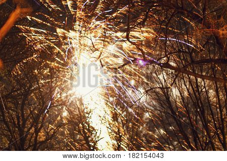 Fireworks explode over the naked winter trees