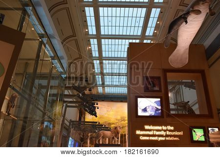 WASHINGTON, DC - APR 15: National Museum of Natural History in Washington, DC, as seen on April 15, 2017. It is administered by the Smithsonian Institution.
