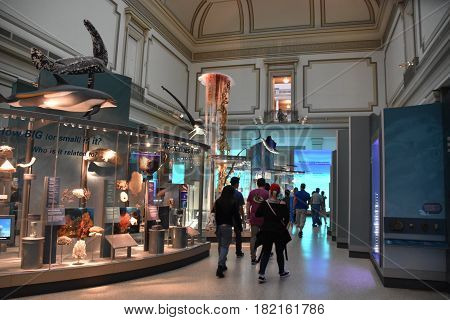 WASHINGTON, DC - APR 15: National Museum of Natural History in Washington, DC, as seen on April 15, 2017. It is administered by the Smithsonian Institution.
