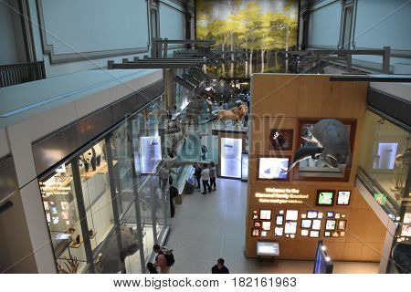 WASHINGTON, DC - APR 15: National Museum of Natural History in Washington, DC, as seen on April 15, 2017. It is administered by the Smithsonian Institution.