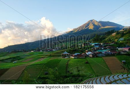Lawu mountain is located in Central Java Indonesia