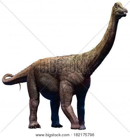 Saltasaurus from the Cretaceous era 3D illustration