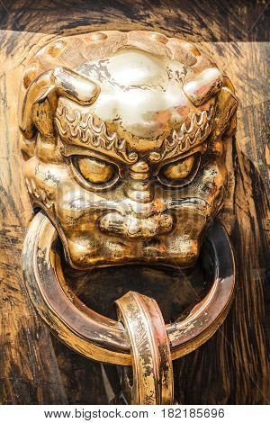 Gilded bronze head of dragon or lion with ring in mouth. Old handle of big vat for water in case of fire in ancient chinese palace