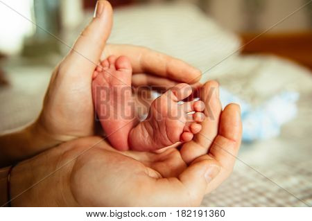 Baby little pink feet in parent hands
