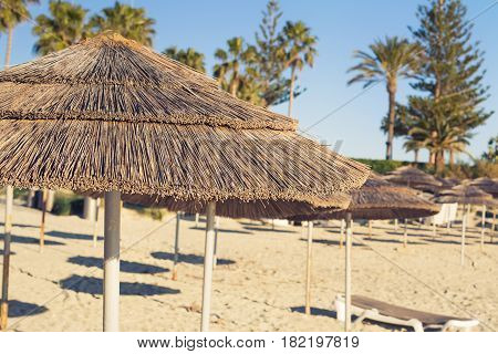 Decorative umbrellas made of palm branches on the background of the beach.
