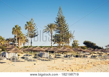 Decorative umbrellas made of palm branches on the background of the beach.