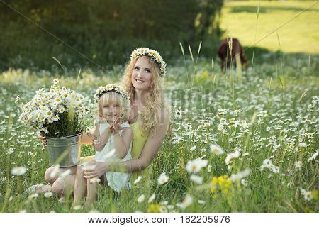 Cute blond lady woman with curly hairs on camomile field
