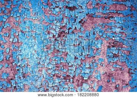 Vintage old wood background with peeling blue paint.