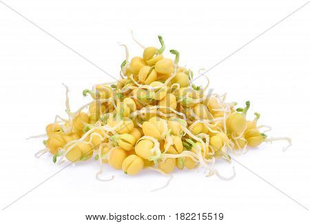 snow pea sprouts isolated on white background