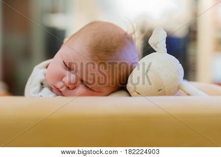 Cute adorable newborn baby sleeping on belly with plush toy. New born child, little adorable girl of two months dreaming peaceful. Family, new life, childhood, beginning concept.