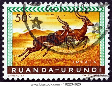 RUANDA-URUNDI - CIRCA 1959: a stamp printed in Ruanda-Urundi shows Impala Aepyceros Melampus Animal circa 1959
