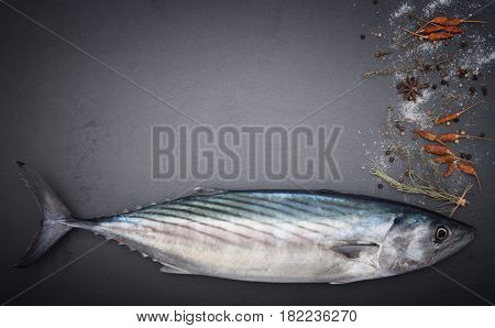 Raw fresh pelamida with spices on black stone