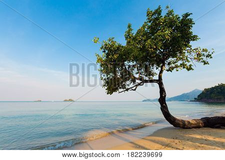 Tropical Landscape Of Koh Chang