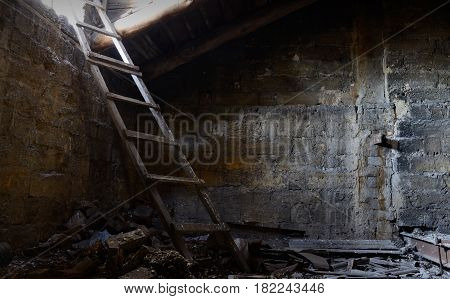 Roof space of abandoned house with old floor covered with guano ,Odessa, Ukraine ,Europe