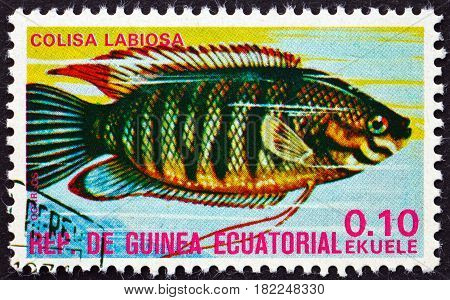 EQUATORIAL GUINEA - CIRCA 1975: a stamp printed in Equatorial Guinea shows Thick-lipped Gourami Colisa Labiosa Tropical Fish circa 1975