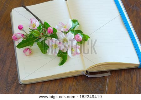Flower spting blossom on blank diary page. Romantic lyrics notebook. Greeting writing paper. Open notepaper book with copy space.