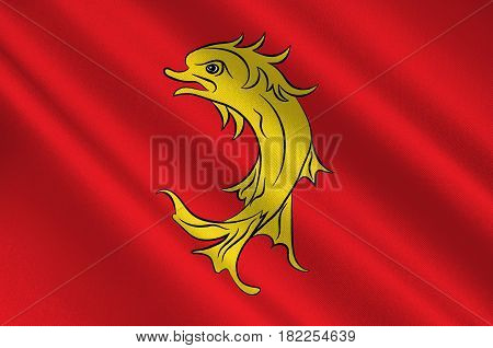 Flag of Loire is a department in the east-central part of France. 3d illustration