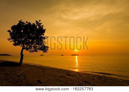 Tropical Landscape Of Koh Chang