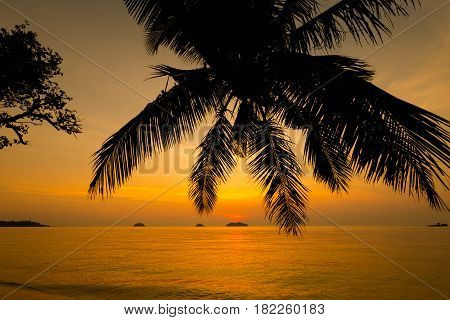 Tropical Landscape Of Koh Chang