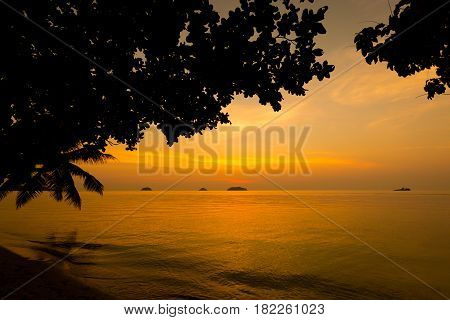 Tropical Landscape Of Koh Chang