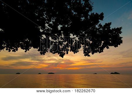 Tropical Landscape Of Koh Chang
