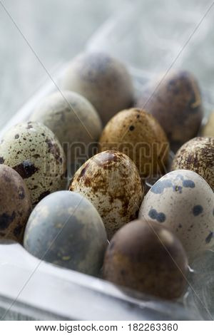 selection of quail eggs