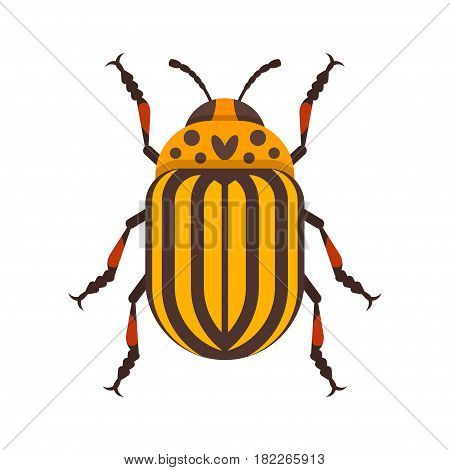 Vector flat style illustration of Colorado beetle. Icon for web. Isolated on white background.