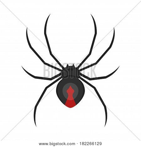 Vector flat style illustration of spider. Icon for web. Isolated on white background.