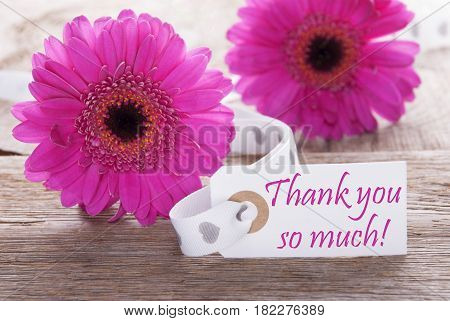 Label With English Text Thank You So Much. Pink Spring Gerbera Blossom. Vintage, Rutic Or Aged Wooden Background. Card For Spring Greetings.