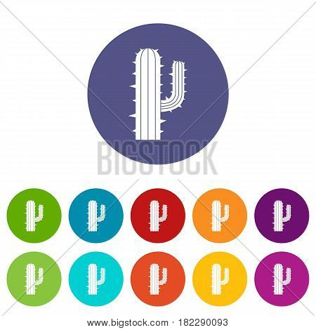 Lophophora cactus icons set in circle isolated flat vector illustration