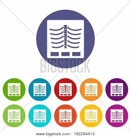 X ray photo icons set in circle isolated flat vector illustration