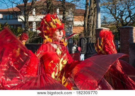 OPICINATRIESTE ITALY - FEBRUARY 25: Unidentified participants in parade of the Carnival. Kraski Pust o Carnevale Carsico. The Carnival Carsico Kraski on February 25 2017