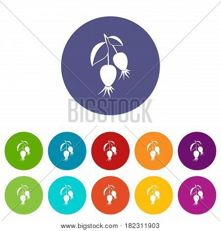 Feijoa fruit icons set in circle isolated flat vector illustration