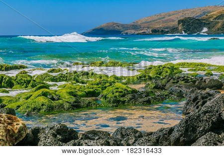 Tropical Lagoon And Tide Pools On A Beach In Oahu, Hawaii