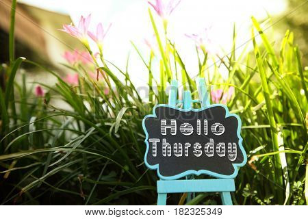 mini blackboard written hello thursday