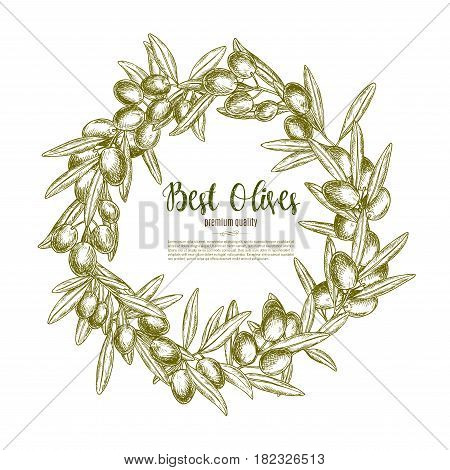 Green olive branches wreath vector poster for olive oil product or Italian restaurant design. Fresh olives fruits harvest symbol for natural organic food store, cooking or pharmaceutical industry