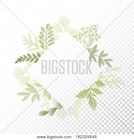 Rhombys greenery floral frame vector. Hand drawn branches and leaves card decoration. Green rhomb flourish border. Transparent background